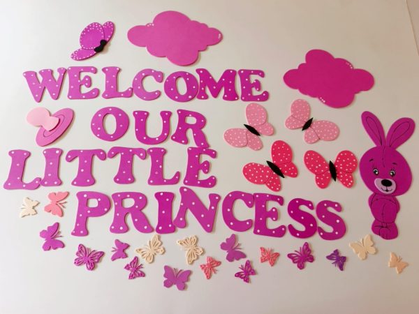 WhatsApp Image 2026-02-01 at 1.51.00 PM Baby girl room decorations 2